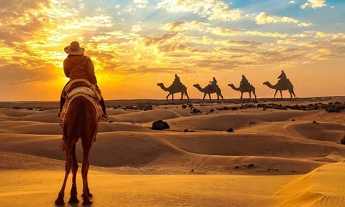 Jaipur Heritage Tour